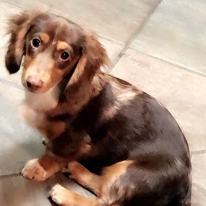 Meet your Posher, Aleczandra